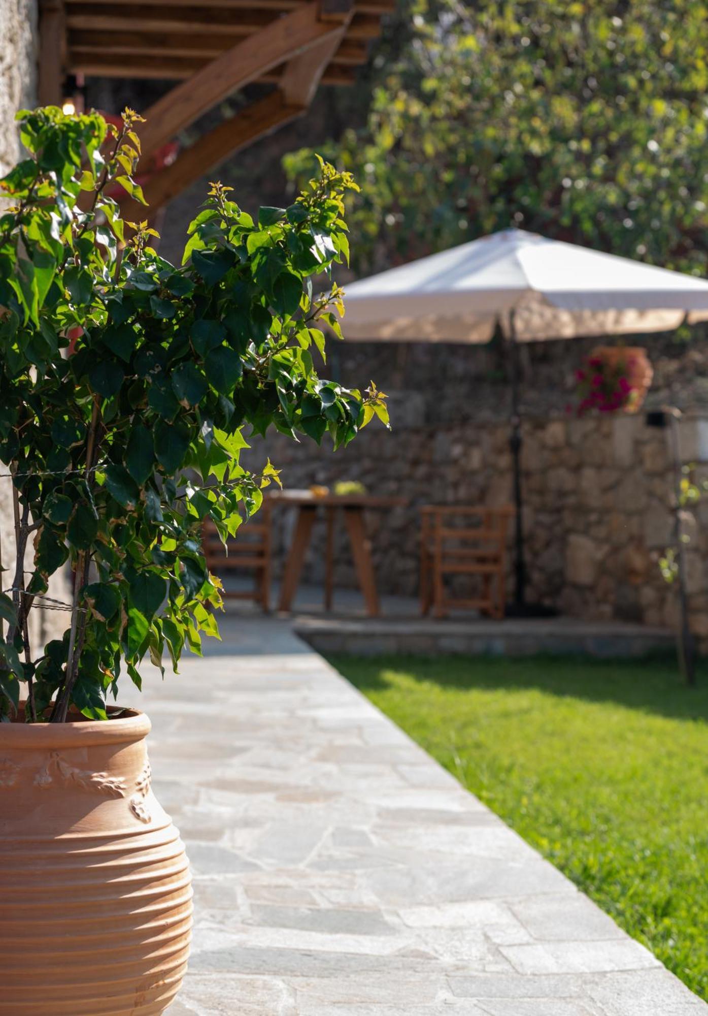 Lithos Villas Apollon Συκιά Εξωτερικό φωτογραφία